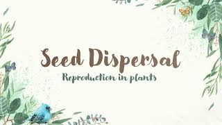 SEED DISPERSAL | HOW DOES SEED DISPERSAL TAKE PLACE? | Made By: Vanshi shah