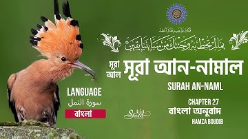 Surah Naml - Hamza Boudib - القارئ حمزة بوديب