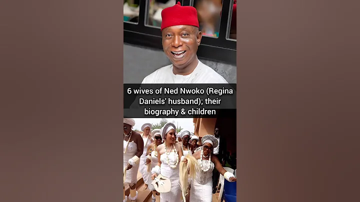 6 wives of Ned Nwoko (Regina Daniels' husband); their biography & children #nednwoko #reginadaniel