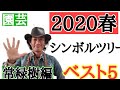 【最新版シンボルツリー！】園芸専門店店長が教えます　「シンボルツリーはどれがいいですか？」にお答えします！２０２０年春絶対チェックすべきベスト５！（常緑樹編）