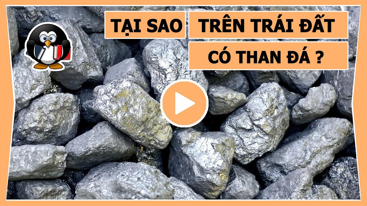WHY IS THERE COAL ON EARTH? - youtube