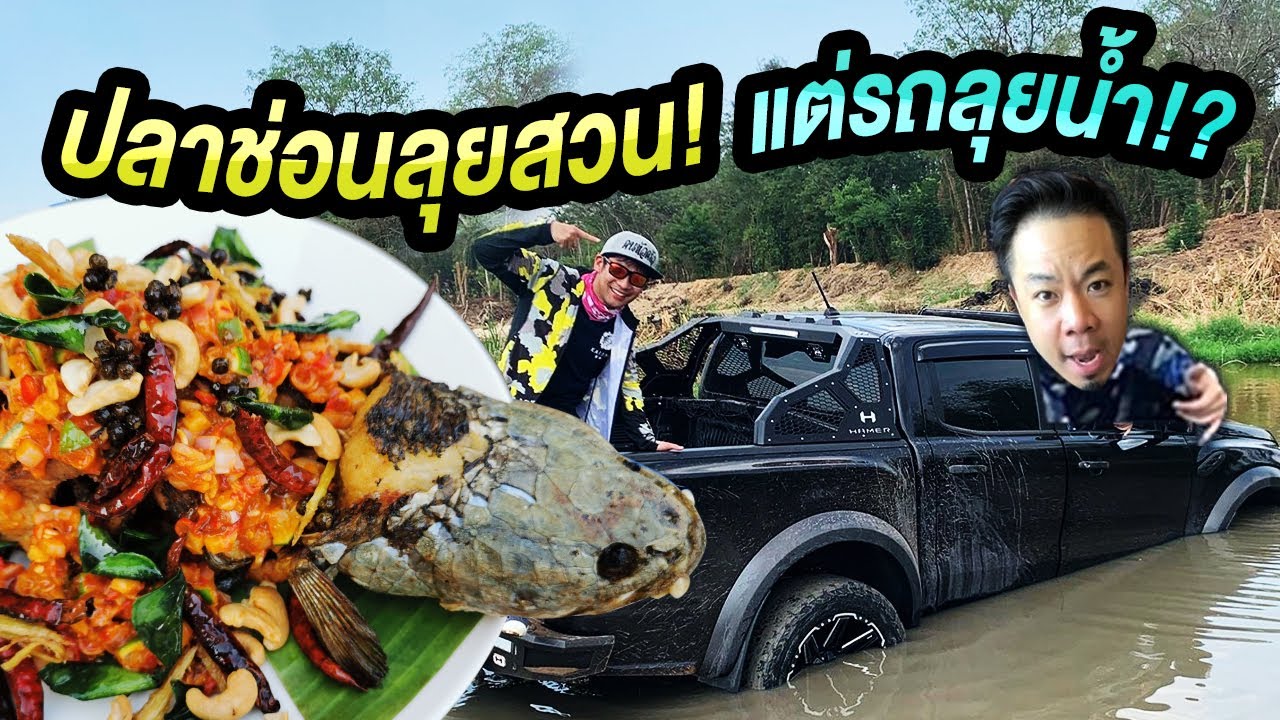 ตกปลาช่อนลุยสวน แต่รถลุยน้ำ!!? [หัวครัวทัวร์ริ่ง] EP.103