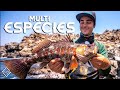 Multi ESPECIES con SPINNING media potencia