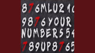 Your Number's Up - DJ Mlu