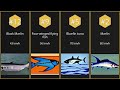 【Top 12】Fastest swimming fish by recorded speed【Searched in 2025】