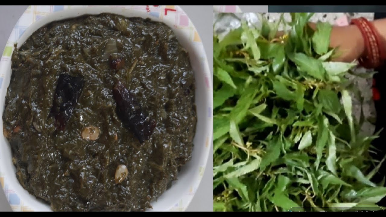 Patua Sag recipe/ पटुआ साग एक बार खाएंगे तो गारंटी है की जिंदगी भर नहीं ...