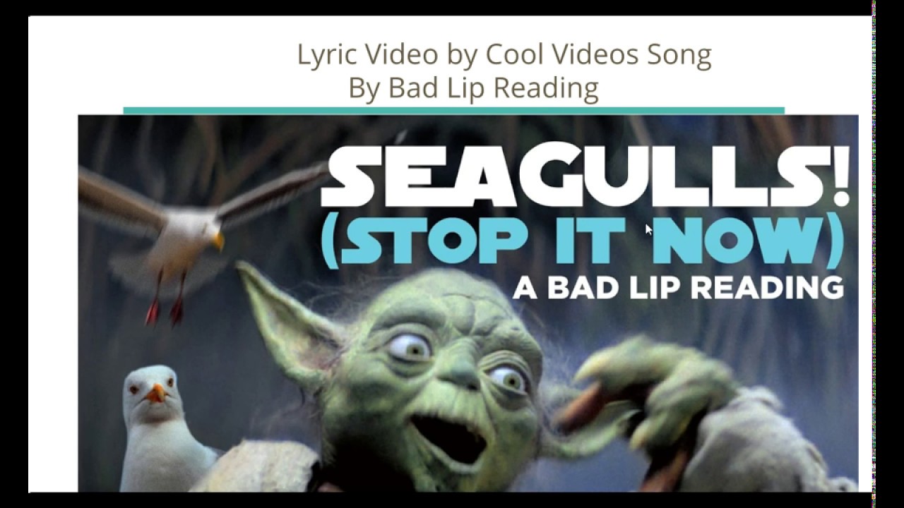 Seagulls - Lyric Video - YouTube
