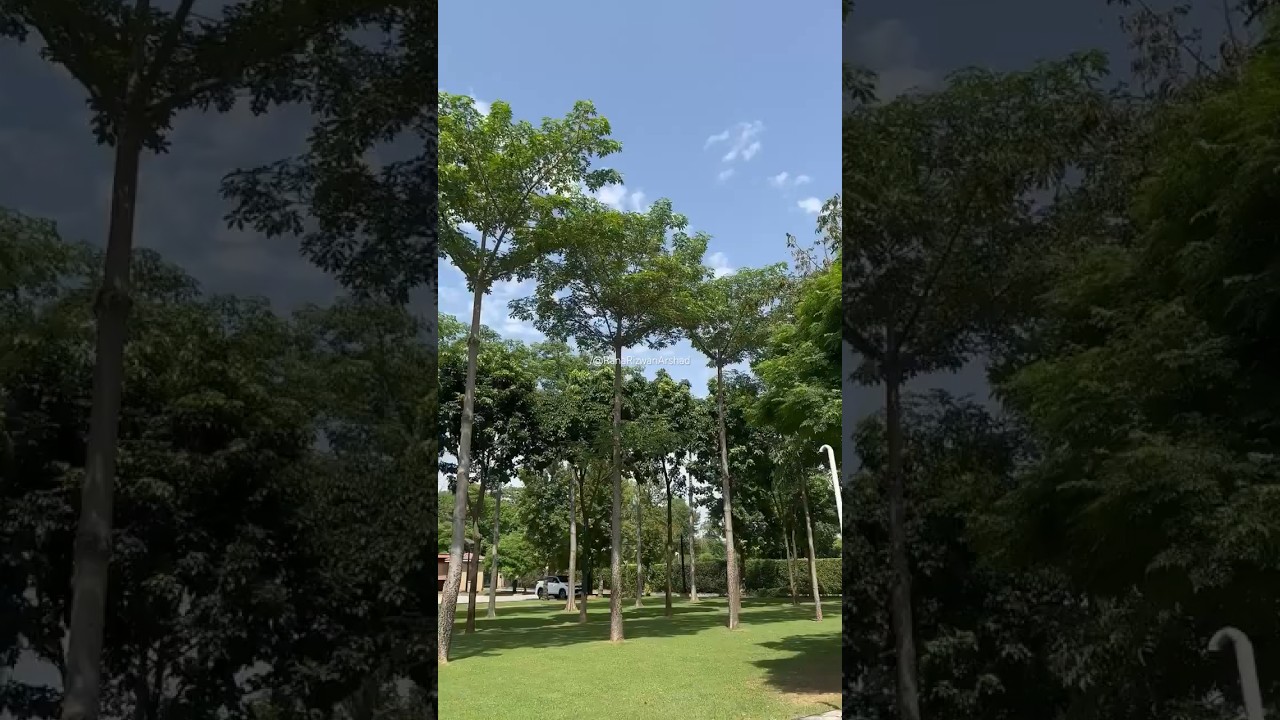 Saddle Room | Islamabad Club | 