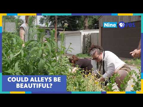 How Native Plants Are Transforming South St. Louis City | Living St. Louis