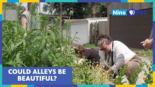How Native Plants Are Transforming South St. Louis City | Living St. Louis