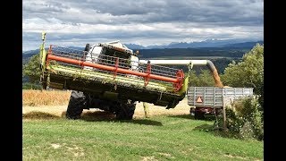 Eta Ramuz Moisson 2016Harvest 2016