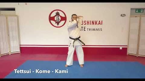 7.Kyu Kyokushinkai Kyhon