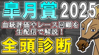 【皐月賞2025 全頭診断】クロワデュノールのG1連勝なるか！？前哨戦や血統傾向をライブ配信で徹底解説！ ～血統×タイム分析×レース回顧で見る全頭診断～【リュウタロウ/競馬Vtuber】