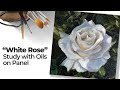 Oil Painting - White Rose Study