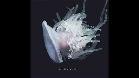 Steso - Lummagud
