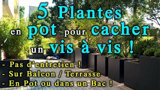 5 Plantes à Mettre en Bac comme Brise Vue ! (sur balcon/terrasse...)