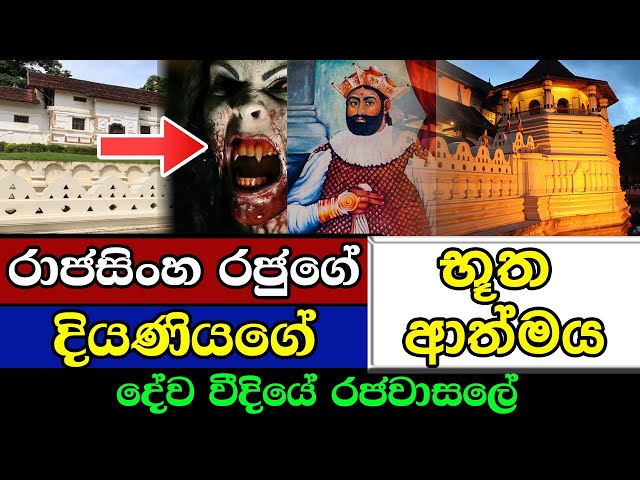 රාජසිංහ රජුගේ දියණියගේ භූතාත්මය දේව වීදියේ රජවාසලේ | The Last King Shri Wickrama Rajasinghe class=