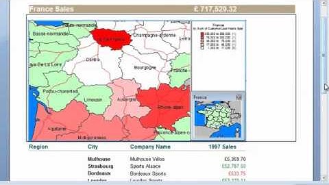 SAP Crystal Reports Video