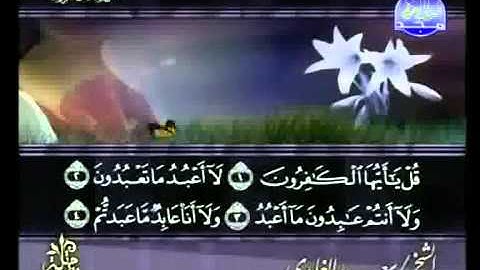 سورة الكافرون الشيخ سعد الغامدى Sheikh Saad Al Ghamdi sura Al-Kafirun