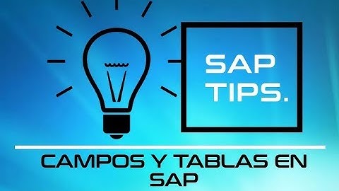 Campos y Tablas en SAP