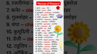 Details Learn 20 Common Flower Names in Hindi, English & Pronunciation! Guide