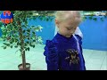 ✔ Кукла Беби Борн и Ярослава на выставке Бабочек. Baby Born doll is on the exhibition of butterflies
