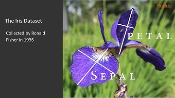 Learning Neural Networks with Tensorflow – The Iris Dataset | packtpub.com