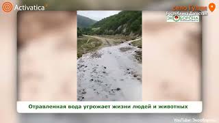 🟠Река в Дагестане побелела, рыба погибла