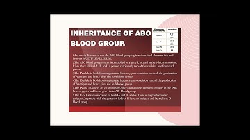 Digital fluency assignment