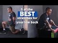 Best Low Back Stretches To Stop Pain In It&#39;s Tracks