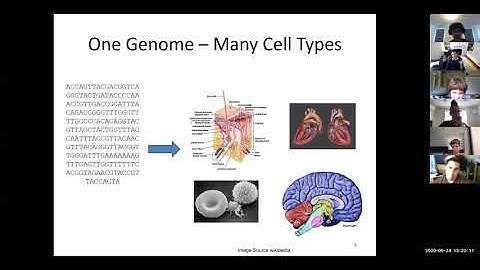 6.047/6.878 Lecture 8 - Epigenomics 1 (Fall 2020)