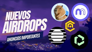 👉 GM NETWORK AIRDROP | CAPYBARA EN SUI | RECLAMA AIRDROP DE MANDE | CELIA 2