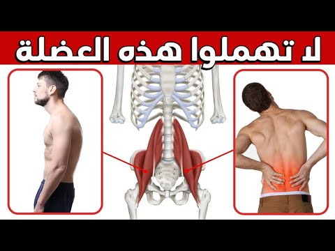 أهم عضلة يهملها الناس فتسبب ألم أسفل الظهر والانحناء | تدريب العضلة القطنية - YouTube