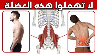أهم عضلة يهملها الناس فتسبب ألم أسفل الظهر والانحناء | تدريب العضلة القطنية