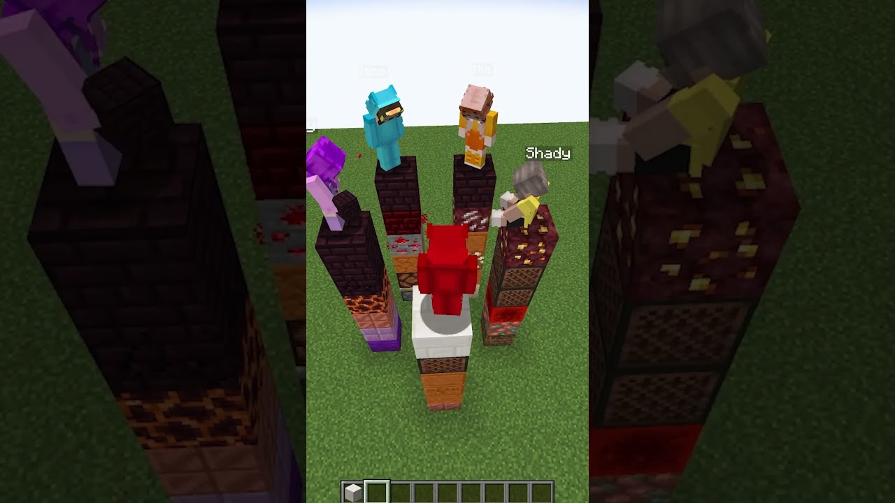 Minecraft TELEPATHY 3