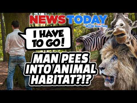 AP & DVC Previews for Soarin' Across America & Muppets Rock 'N' Roller Coaster, Man Pees on Safari