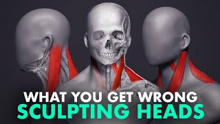 What You Get Wrong About Sculpting Heads