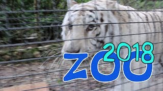 Yalta 2018 Crimea Zoo зоопарк