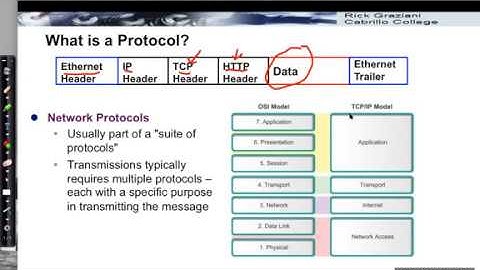 Network Protocols
