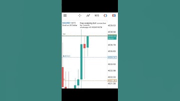 🤖 AI Trading Bot: October 8