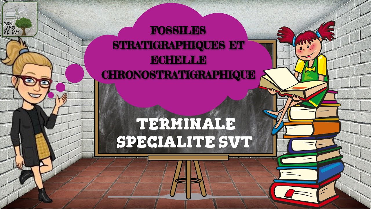 Fossiles stratigraphiques et échelle chronostratigraphique - Terminale spécialité SVT