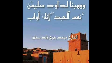 {وَوَهَبْنَا لِدَاوُودَ سُلَيْمَانَ نِعْمَ الْعَبْدُ إِنَّهُ أَوَّابٌ} |  تلاوة صباحية
