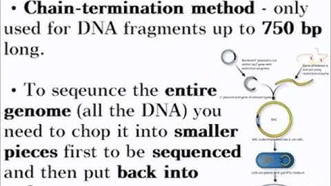 Sequencing Genes and Genomes - A-Level (A2) Biology Revision