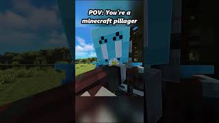 POV: You're minecraft baby pillager