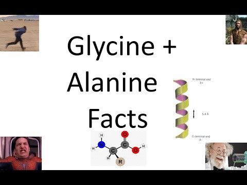 Some Quick Facts about Glycine and