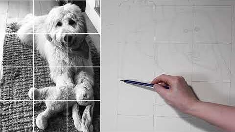 Furry Animal Drawing 1: Enlarging a Photo with a Grid