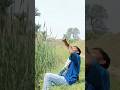 Paku Re Newsantali Short Video 2026ka Ka Sheeme Trending Songlyrics