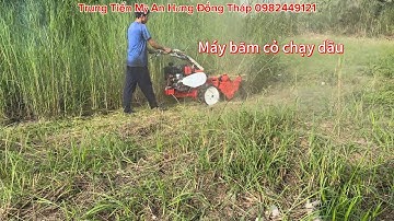Máy băm cỏ chạy dầu có đề Nhật Bãi 80 cm 0982449121