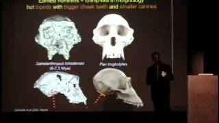 Human Evolution 150 Years After Darwin, Dr. Dan Lieberman