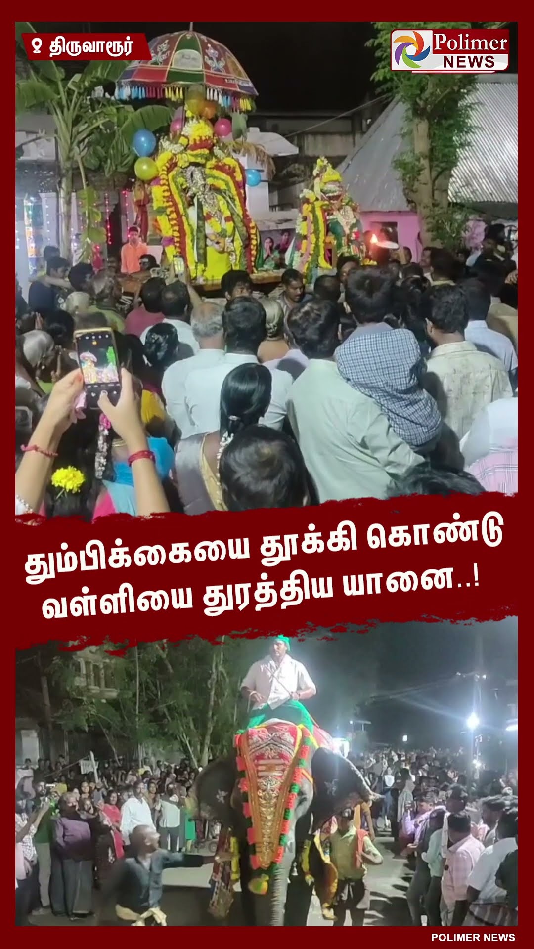 தும்பிக்கையை தூக்கி கொண்டு வள்ளியை துரத்திய யானை..! #shorts